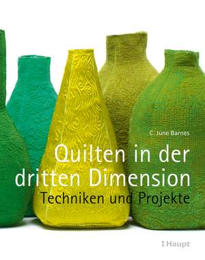 Quilten in der dritten Dimension de C. June Barnes