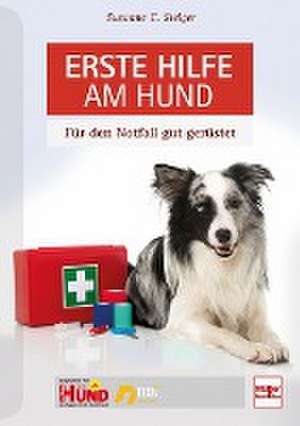 Erste Hilfe am Hund de Susanne C. Steiger