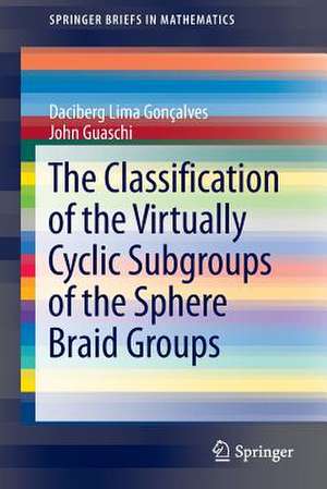 The Classification of the Virtually Cyclic Subgroups of the Sphere Braid Groups de Daciberg Lima Goncalves