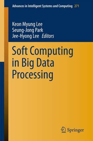 Soft Computing in Big Data Processing de Keon Myung Lee