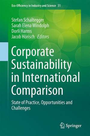 Corporate Sustainability in International Comparison: State of Practice, Opportunities and Challenges de Stefan Schaltegger