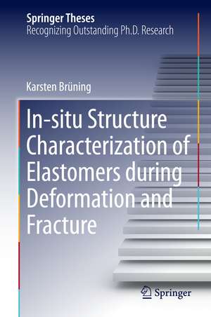 In-situ Structure Characterization of Elastomers during Deformation and Fracture de Karsten Brüning