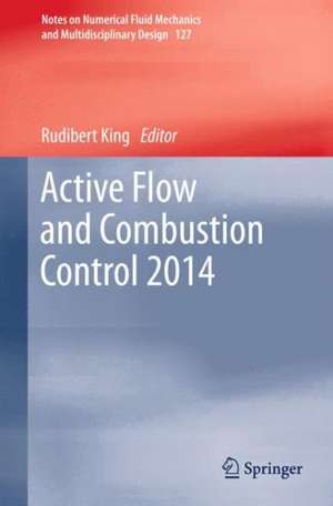 Active Flow and Combustion Control 2014 de Rudibert King