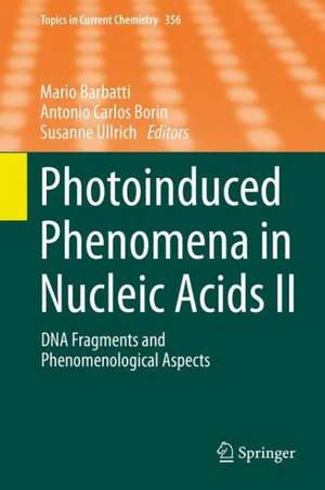 Photoinduced Phenomena in Nucleic Acids II: DNA Fragments and Phenomenological Aspects de Mario Barbatti