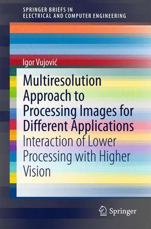 Multiresolution Approach to Processing Images for Different Applications: Interaction of Lower Processing with Higher Vision de Igor Vujović