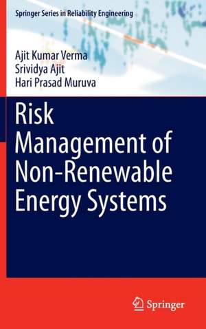 Risk Management of Non-Renewable Energy Systems de Ajit Kumar Verma