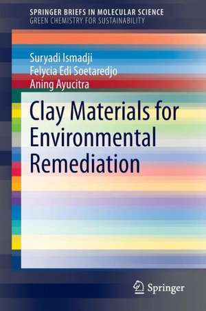 Clay Materials for Environmental Remediation de Suryadi Ismadji