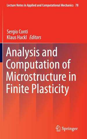 Analysis and Computation of Microstructure in Finite Plasticity de Sergio Conti