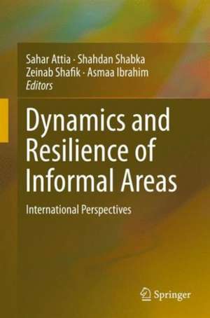 Dynamics and Resilience of Informal Areas: International Perspectives de Sahar Attia