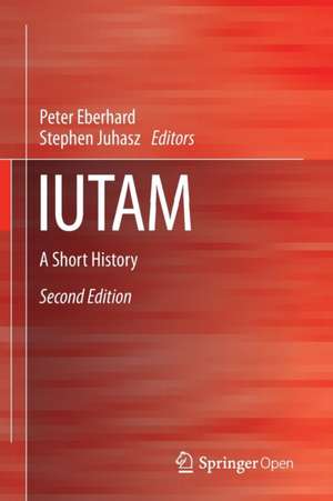 IUTAM: A Short History de Peter Eberhard