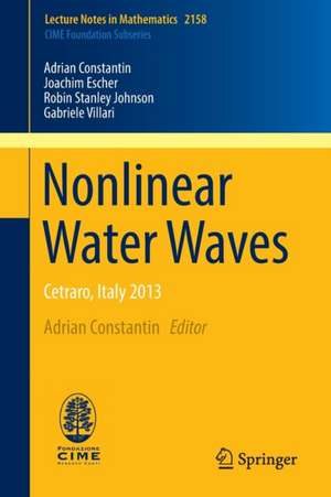 Nonlinear Water Waves: Cetraro, Italy 2013 de Adrian Constantin