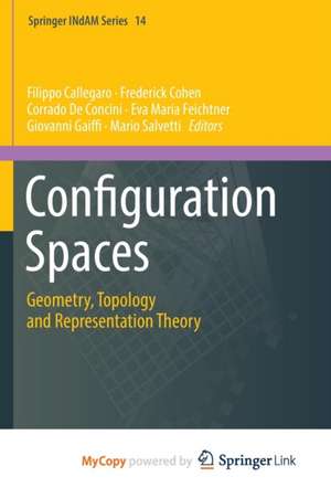 Configuration Spaces: Geometry, Topology and Representation Theory de Filippo Callegaro