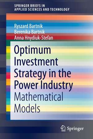 Optimum Investment Strategy in the Power Industry: Mathematical Models de Ryszard Bartnik