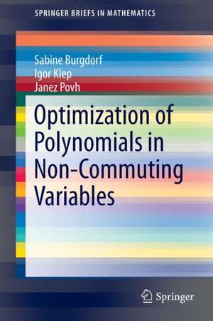 Optimization of Polynomials in Non-Commuting Variables de Sabine Burgdorf