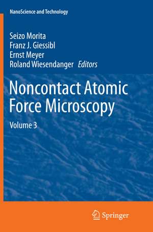 Noncontact Atomic Force Microscopy de Seizo Morita