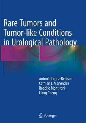 Rare Tumors and Tumor-like Conditions in Urological Pathology de Antonio Lopez-Beltran