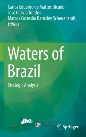 Waters of Brazil: Strategic Analysis de Carlos Eduardo de Mattos Bicudo