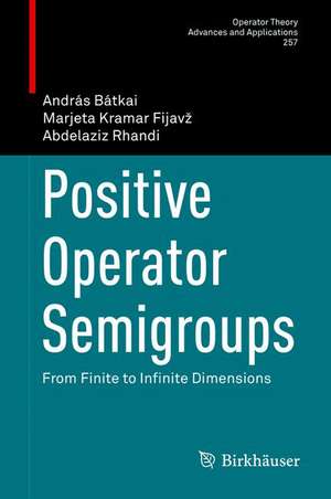 Positive Operator Semigroups: From Finite to Infinite Dimensions de András Bátkai