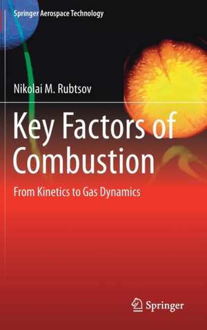 Key Factors of Combustion: From Kinetics to Gas Dynamics de Nikolai M. Rubtsov