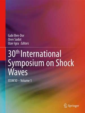 30th International Symposium on Shock Waves 1: ISSW30 - Volume 1 de Gabi Ben-Dor