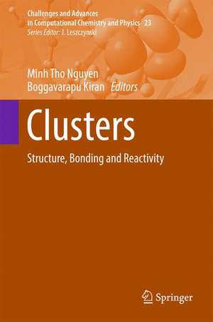 Clusters: Structure, Bonding and Reactivity de Minh Tho Nguyen