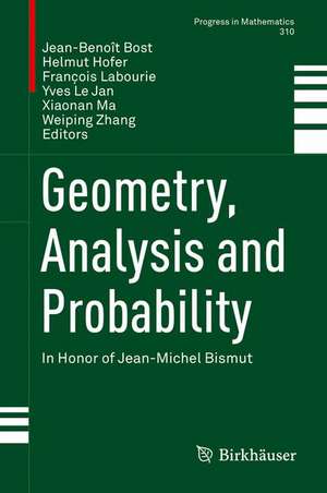 Geometry, Analysis and Probability: In Honor of Jean-Michel Bismut de Jean-Benoît Bost