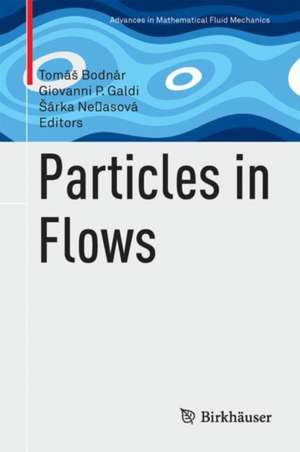 Particles in Flows de Tomáš Bodnár