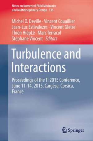 Turbulence and Interactions: Proceedings of the TI 2015 Conference, June 11-14, 2015, Cargèse, Corsica, France de Michel O. Deville