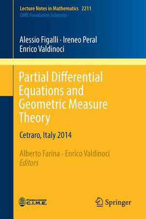 Partial Differential Equations and Geometric Measure Theory: Cetraro, Italy 2014 de Alessio Figalli