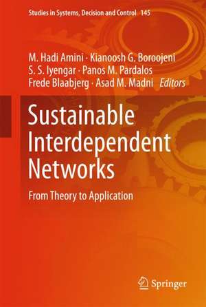 Sustainable Interdependent Networks: From Theory to Application de M. Hadi Amini