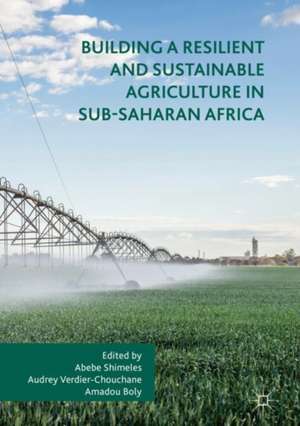 Building a Resilient and Sustainable Agriculture in Sub-Saharan Africa de Abebe Shimeles