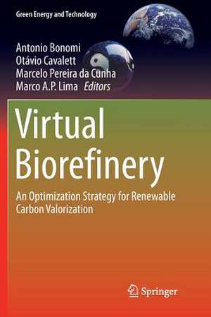 Virtual Biorefinery: An Optimization Strategy for Renewable Carbon Valorization de Antonio Bonomi