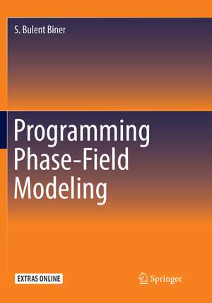 Programming Phase-Field Modeling de S. Bulent Biner