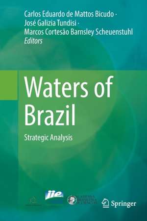 Waters of Brazil: Strategic Analysis de Carlos Eduardo de Mattos Bicudo