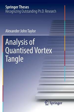 Taylor, A: Analysis of Quantised Vortex Tangle