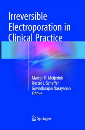 Irreversible Electroporation in Clinical Practice de Martijn R. Meijerink