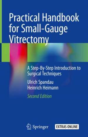 Practical Handbook for Small-Gauge Vitrectomy: A Step-By-Step Introduction to Surgical Techniques de Ulrich Spandau