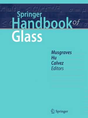 Springer Handbook of Glass de J. David Musgraves