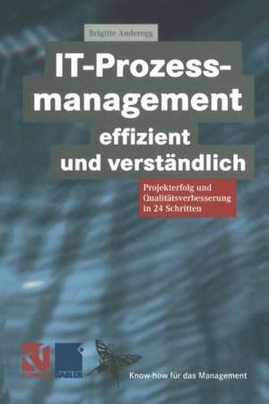 IT-Prozessmanagement effizient und verständlich: Projekterfolg und Qualitätsverbesserung in 24 Schritten de Brigitte Anderegg