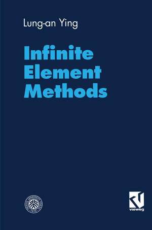 Infinite Element Methods de Lung-an Ying