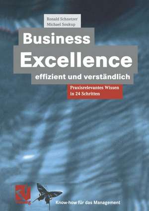 Business Excellence effizient und verständlich: Praxisrelevantes Wissen in 24 Schritten de Ronald Schnetzer