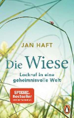 Die Wiese de Jan Haft