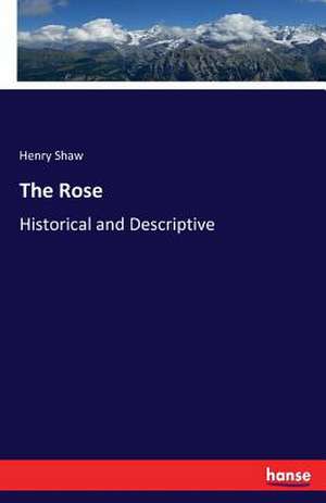 The Rose de Henry Shaw