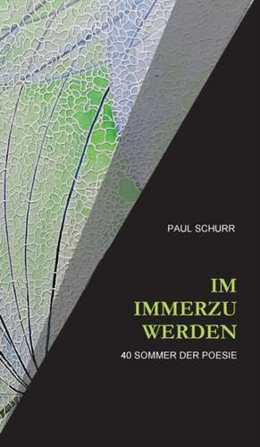 IM IMMERZU WERDEN de Paul Schurr