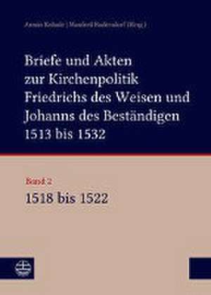 Briefe und Akten zur Kirchenpolitik Friedrichs des Weisen und Johanns... de Armin Kohnle