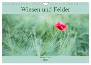 Wiesen und Felder (Wandkalender 2024 DIN A4 quer), CALVENDO Monatskalender de Marion Gartler