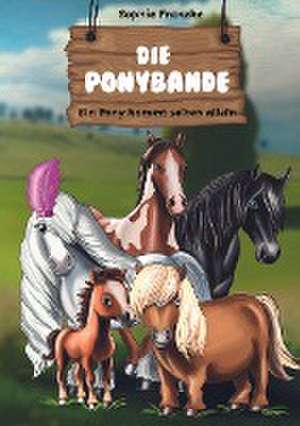 Die Ponybande de Sophie Franzke