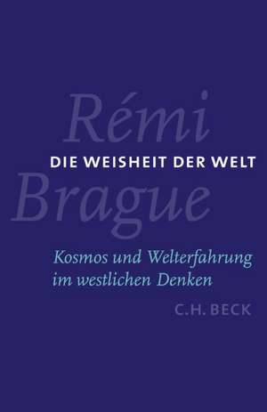 Die Weisheit der Welt de Rémi Brague