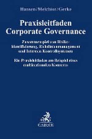 Praxisleitfaden Corporate Governance: Zusammenspiel von Risikoidentifizierung, Richtlinienmanagement und Internem Kontrollsystem de Jan Hansen