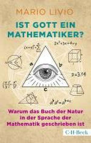 Ist Gott ein Mathematiker? de Mario Livio